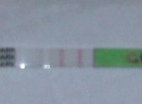 OPK-CD11.jpg