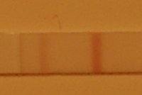 OPK 1-18-10 12-55PM.jpg