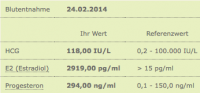 Blutwerte 24.02.2014.png