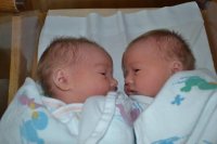 twins.jpg