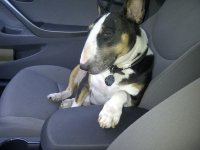 IMG-20121019-00076.jpg