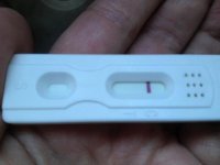 Sara 12 dpo.jpg
