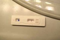 7 DPO Mar 24, 2014.jpg