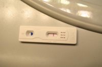 7DPO Mar24,2014.jpg