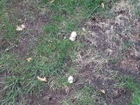 20130825_102539.jpg
