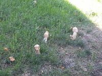 20130830_160025.jpg