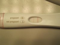 10DPO - FRER.jpg