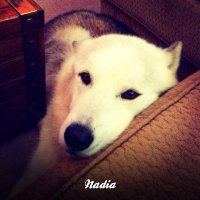 Sweet Nadi.jpg