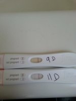 Tests.jpg