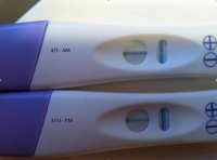 331and41pic.jpg