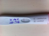 photo (6).jpg