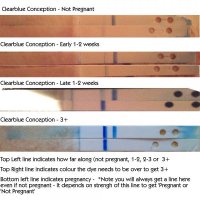 clearblue indicator .jpg