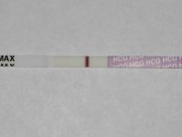 10dpo.jpg