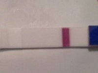 10dpo am.jpg