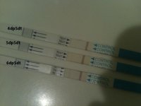 pregotests 005.jpg