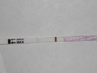 11dpo-smu.jpg