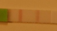 opk january 19th at 12-26pm.jpg