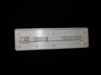 20140410_161830.jpg