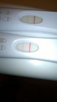 Frer 12 dpo.jpg