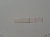 20140413_080111.jpg