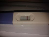 20140416_190319.jpg