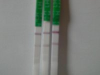 20140421_165652.jpg