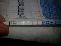 opk2.jpg