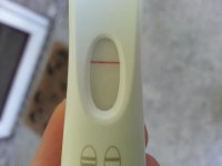 6dp5dt1.jpg