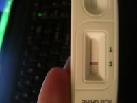 6dp5dt2.jpg