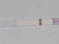 5dpo.jpg