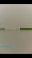 opk1280414.jpg