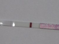 6dpo.jpg