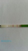 opk3290414.jpg