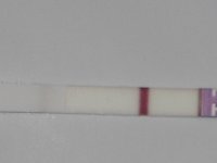 7dpo.jpg