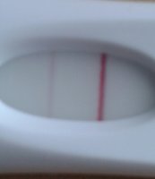 20140430_125458.jpg