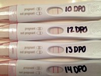 Preg test 2.jpg
