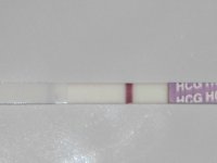 8dpo.jpg