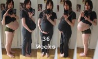 36_weeks_small.jpg