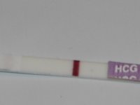 10dpo.jpg
