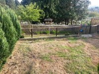 backgarden1.jpg