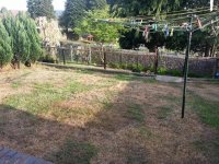 backgarden2.jpg