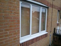 blinds1.jpg