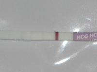 14dpo2.jpg