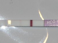 15DPO.jpg