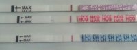 hpt6.jpg
