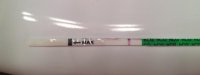 hpt 9 dpo 10 mui photo at 5 minutes.jpg