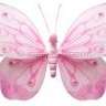 pinkbutterfly